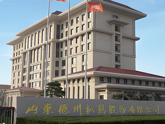 شاندونغ ديتشو الدجاج المشوي ، المحدودة.