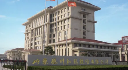 شاندونغ ديتشو الدجاج المشوي ، المحدودة.