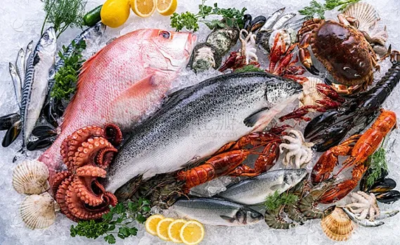 الحفاظ على نضارة المنتج المائي مع حلول التجميد المتطورة